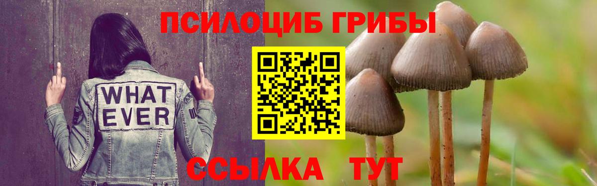 Белореченск  Галлюциногенные грибы Magic Shrooms  Вход с VPN 